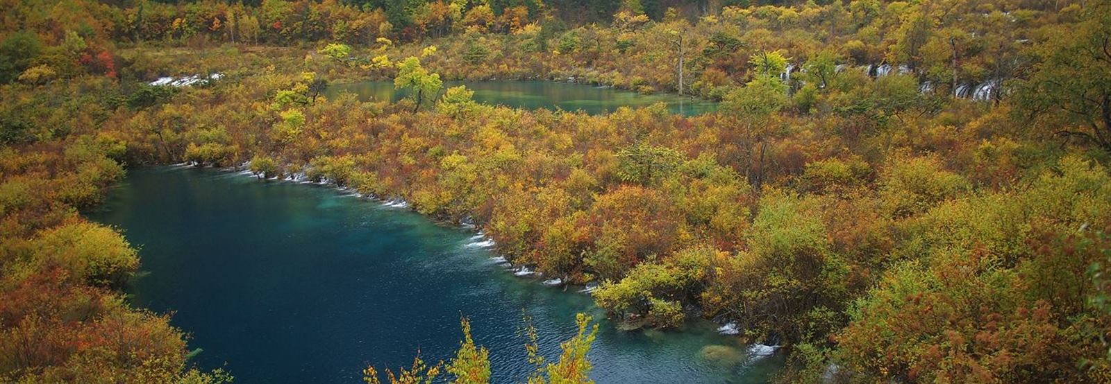 川西小環線紅葉之旅
